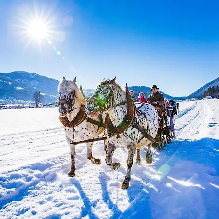 مزرعة للإقامة Seilhof Ennsling